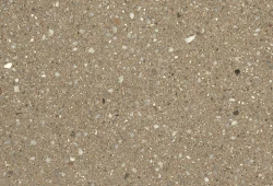 amber-brown ground