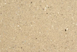 ivory ground