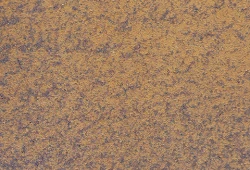 rubiginous grained